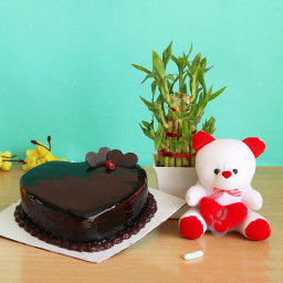 Love Note: A Gift Combo of 0.5 Kg Heart Shape Chocolate Cake, 6 Inch Teddy, and One Lucky Bamboo Love Note: A Gift Combo of 0.5 Kg Heart Shape Chocolate Cake, 6 Inch Teddy, and One Lucky Bamboo
