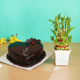 Love-Luck creation: A Gift Combo of 0.5 Kg Heart Shape Chocolate Cake and One Lucky Bamboo Love-Luck creation: A Gift Combo of 0.5 Kg Heart Shape Chocolate Cake and One Lucky Bamboo