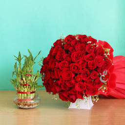Red Rose Bouquet for Women's Day - Love-Luck Stories