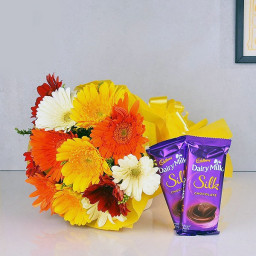 Gerberas Enchantment: A Gift Combo of 10 Mix Gerberas and 2 Dairy Milk Silk Gerberas Enchantment: A Gift Combo of 10 Mix Gerberas and 2 Dairy Milk Silk
