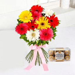 Gerberas Of Happiness: A Gift Combo of 12 Mix Gerberas and 16 Ferrero Rocher Gerberas Of Happiness: A Gift Combo of 12 Mix Gerberas and 16 Ferrero Rocher