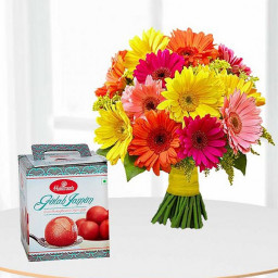 Wow Sweet Combo: A Gift Combo of 12 Mix Gerberas and 1 Kg Gulab Jamun Wow Sweet Combo: A Gift Combo of 12 Mix Gerberas and 1 Kg Gulab Jamun