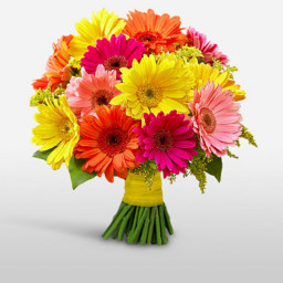 Mixed Gerberas Bouquet for Father's Day - Joyous Celebration Mixed Gerberas Bouquet for Father's Day - Joyous Celebration