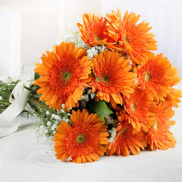 Orange Gerberas Bouquet for Mother's Day - Bright Orange Gerberas Orange Gerberas Bouquet for Mother's Day - Bright Orange Gerberas