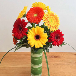 Mixed Gerberas Bouquet for Women's Day - Gerberas in Classic Glass Vase Mixed Gerberas Bouquet for Women's Day - Gerberas in Classic Glass Vase