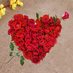 Red Rose Arrangement for Valentine's Day - Sweet Flower Magic