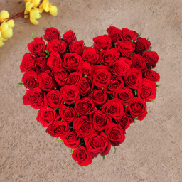 Red Rose Arrangement for Valentine's Day - Joyous Gesture Red Rose Arrangement for Valentine's Day - Joyous Gesture