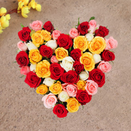Mixed Rose Arrangement for Valentine's Day - Mixed Magic Mixed Rose Arrangement for Valentine's Day - Mixed Magic