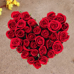 Red Rose Arrangement for Father's Day - Love Overjoyed Red Rose Arrangement for Father's Day - Love Overjoyed