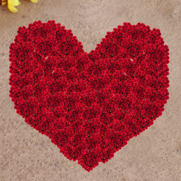 Red Rose Arrangement for Women's Day - Cloud Nine Present Red Rose Arrangement for Women's Day - Cloud Nine Present
