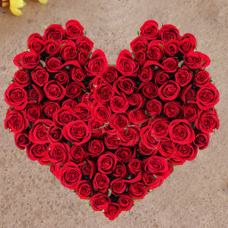Red Rose Arrangement for Valentine's Day - Heart Shaped Roses Red Rose Arrangement for Valentine's Day - Heart Shaped Roses