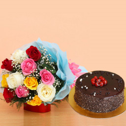 Mixed Roses and Truffle Cake Combo: A Gift Combo of 10 Mix Roses and 0.5 Kg Chocolate Cake Mixed Roses and Truffle Cake Combo: A Gift Combo of 10 Mix Roses and 0.5 Kg Chocolate Cake
