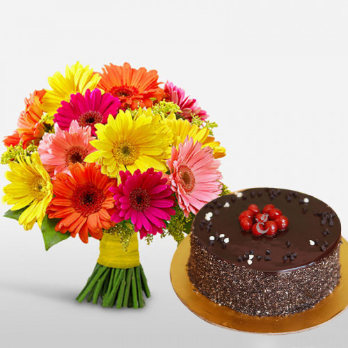 Gebras and Truffle Cake Combo: A Gift Combo of 12 Mix Gerberas and 0.5 Kg Chocolate Truffle Cake