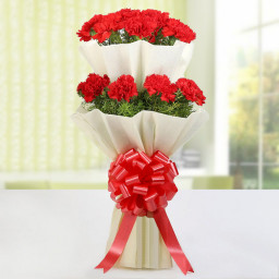 Red Carnation Bouquet for Father's Day - Carnation In Tiers Red Carnation Bouquet for Father's Day - Carnation In Tiers