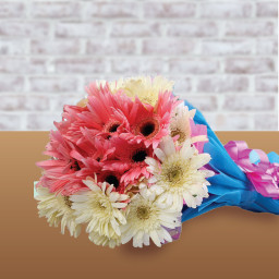 White Gerberas Bouquet for Women's Day - Devine Beauty White Gerberas Bouquet for Women's Day - Devine Beauty