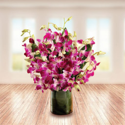 Purple Orchid Bouquet for Mother's Day - Beautiful With Pride Purple Orchid Bouquet for Mother's Day - Beautiful With Pride