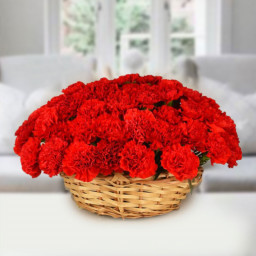 Red Carnation Basket for Mother's Day - Love's Choice Red Carnation Basket for Mother's Day - Love's Choice