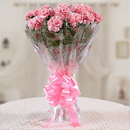 Pink Carnation Bouquet for Valentine's Day - Vibe Makers Pink Carnation Bouquet for Valentine's Day - Vibe Makers