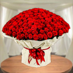 Red Rose Bouquet for Women's Day - My Big Surprise Red Rose Bouquet for Women's Day - My Big Surprise