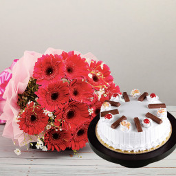 Crunchy Vanilla Ecstasy: A Gift Combo of 12 Red Gerberas and 0.5 kg KitKat Vanilla Cake Crunchy Vanilla Ecstasy: A Gift Combo of 12 Red Gerberas and 0.5 kg KitKat Vanilla Cake