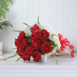 Red Carnation Bouquet for Mother's Day - Classic Elegance Red Carnation Bouquet for Mother's Day - Classic Elegance