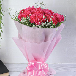 Pink Carnation Bouquet for Women's Day - Pretty in Pink Pink Carnation Bouquet for Women's Day - Pretty in Pink