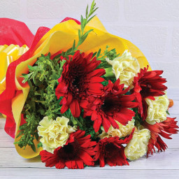 Red Gerberas Bouquet for Valentine's Day - Fiesta of Colors