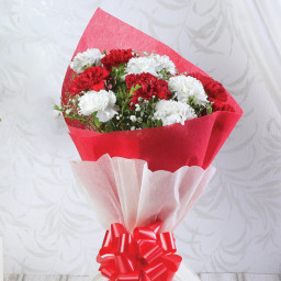 Red Carnation Bouquet for Valentine's Day - Crimson Snow Red Carnation Bouquet for Valentine's Day - Crimson Snow