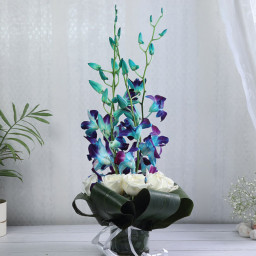 White Rose Bouquet for Women's Day - Sky's Serenade