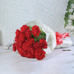 Red Carnation Bouquet for Women's Day - Scarlet Elegance Red Carnation Bouquet for Women's Day - Scarlet Elegance