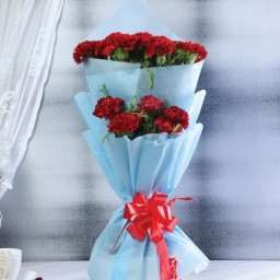 Red Carnation Bouquet for Mother's Day - Crimson Cascade