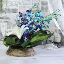 White Orchid Basket for Women's Day - Sapphire Lily Symphony
