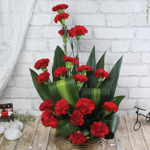 Red Carnation Basket for Women's Day - Crimson Charm