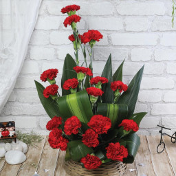 Red Carnation Basket for Women's Day - Crimson Charm