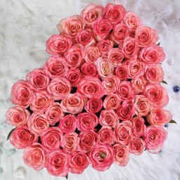 Pink Rose Bouquet for Father's Day - Blushing Heartbeat