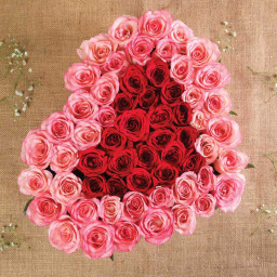 Red Rose Bouquet for Women's Day - Rosy Romance