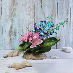 Pink Orchid Basket for Valentine's Day - Serene Bloom Medley Pink Orchid Basket for Valentine's Day - Serene Bloom Medley