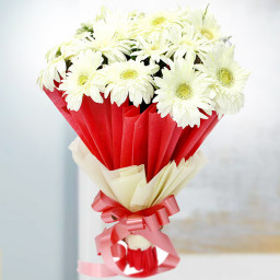 Red Gerberas Bouquet for Women's Day - Gracious Wishes Red Gerberas Bouquet for Women's Day - Gracious Wishes