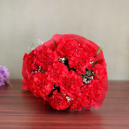 Red Carnation Bunch for Valentine's Day - Divine Passion Red Carnation Bunch for Valentine's Day - Divine Passion
