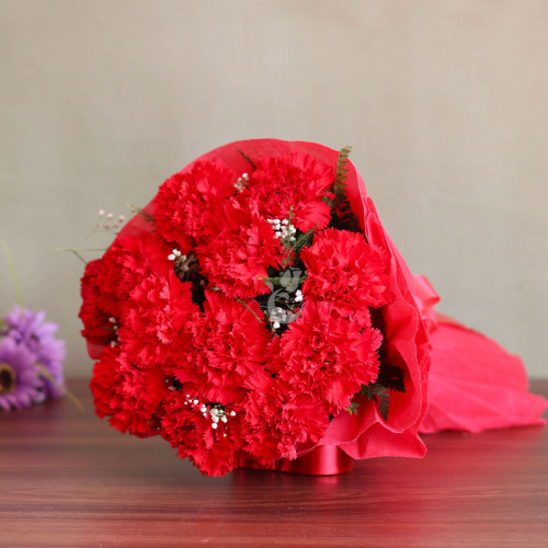 Red Carnation Bouquet for Women's Day - Adorably Satisfying