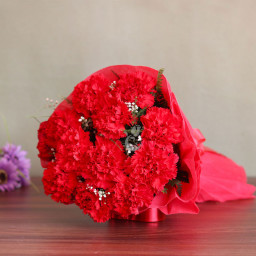 Red Carnation Bouquet for Women's Day - Adorably Satisfying Red Carnation Bouquet for Women's Day - Adorably Satisfying