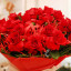 1575380501_0.jpg