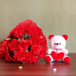 Red Carnation Bouquet for Father's Day - Splendid Beauty