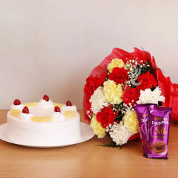 Carnation Festival: A Gift Combo of 12 Mix Carnations, 0.5 Kg Pineapple Cake and 2 Dairy Milk Silk Carnation Festival: A Gift Combo of 12 Mix Carnations, 0.5 Kg Pineapple Cake and 2 Dairy Milk Silk