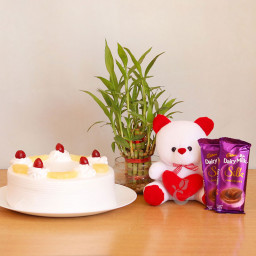 Lucky Bamboo Combo: A Gift Combo of 2 Dairy Milk Silk, 0.5 Kg Pineapple Cake, Lucky Bamboo Tree and 6 Inch Teddy Lucky Bamboo Combo: A Gift Combo of 2 Dairy Milk Silk, 0.5 Kg Pineapple Cake, Lucky Bamboo Tree and 6 Inch Teddy