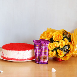Sweet Cravings: A Gift Combo of 12 Yellow Roses, 0.5 Kg Red Velvet Cake and 2 Dairy Milk Silk Sweet Cravings: A Gift Combo of 12 Yellow Roses, 0.5 Kg Red Velvet Cake and 2 Dairy Milk Silk