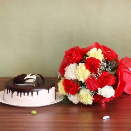 Carnation Speaks: A Gift Combo of 12 Mix Carnation and 0.5 Kg Chocolate Cake Carnation Speaks: A Gift Combo of 12 Mix Carnation and 0.5 Kg Chocolate Cake
