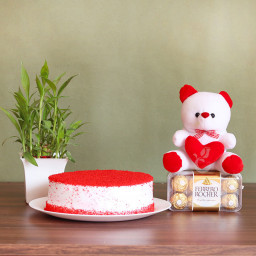 Pure Love: A Gift Combo of 16 Ferrero Rocher, 0.5 Kg Red Velvet Cake, 6 Inch Teddy, and Lucky Bamboo Pure Love: A Gift Combo of 16 Ferrero Rocher, 0.5 Kg Red Velvet Cake, 6 Inch Teddy, and Lucky Bamboo