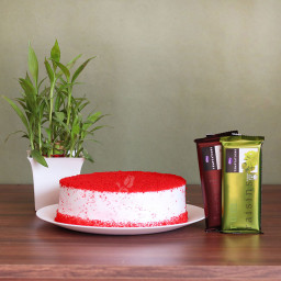 Tempting Regard: A Gift Combo of 0.5 Kg Red Velvet Cake, 2 Temptations, and Lucky Bamboo Tempting Regard: A Gift Combo of 0.5 Kg Red Velvet Cake, 2 Temptations, and Lucky Bamboo