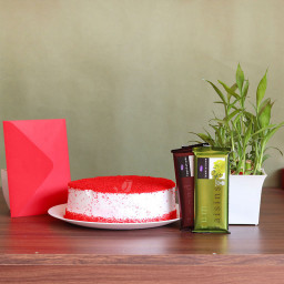 Enamored Bundle: A Gift Combo of 0.5 Kg Red Velvet Cake, 2 Temptations, Lucky Bamboo, and One Greeting Card Enamored Bundle: A Gift Combo of 0.5 Kg Red Velvet Cake, 2 Temptations, Lucky Bamboo, and One Greeting Card